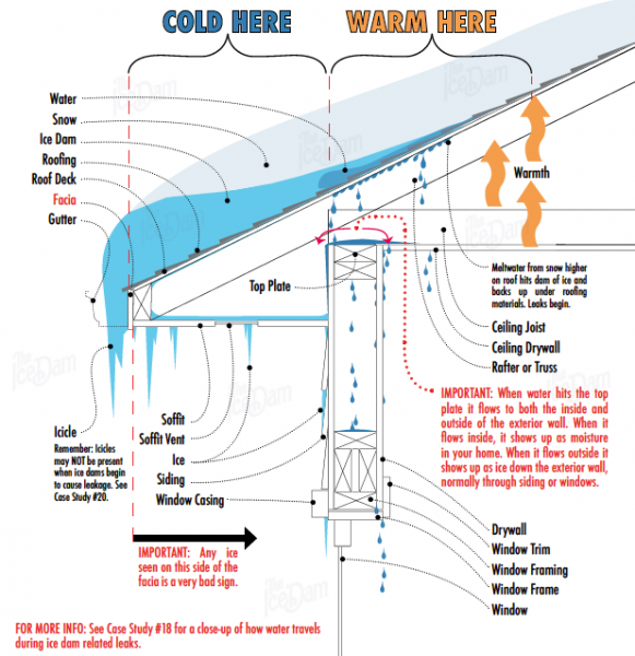 Case Study 1